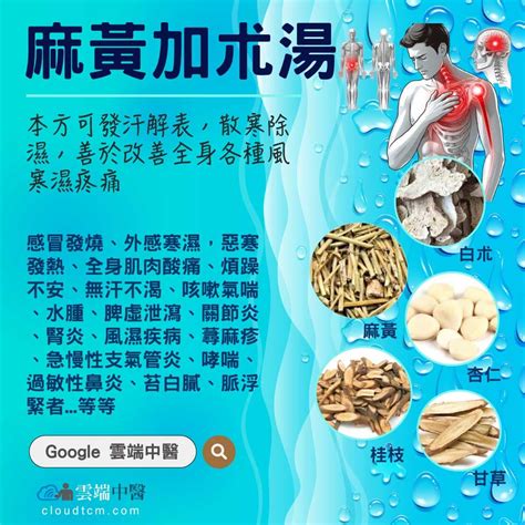 麻黃加朮湯|麻黃加朮湯